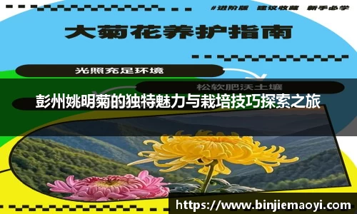 一竞技官方网站